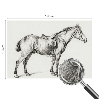3D fototapet Skiss av en häst