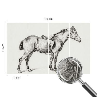 3D fototapet Skiss av en häst