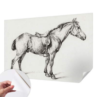 3D fototapet Skiss av en häst