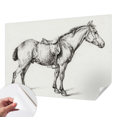 3D fototapet Skiss av en häst