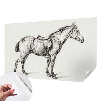 3D fototapet Skiss av en häst