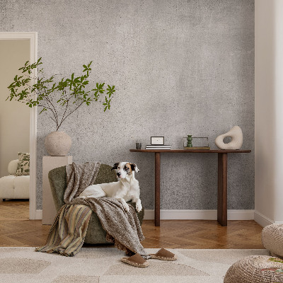 3D fototapet med betongmönster