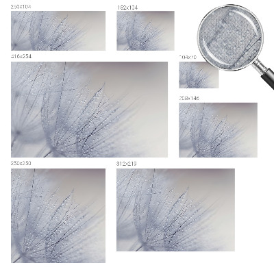 Självhäftande fototapet Daggig maskros