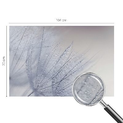 Självhäftande fototapet Daggig maskros