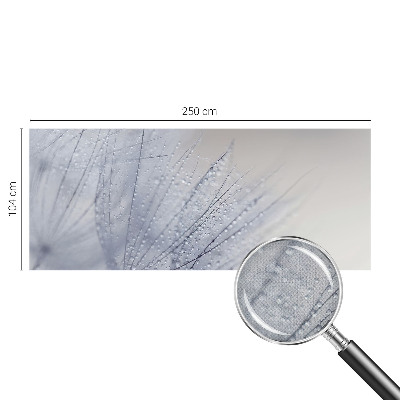 Självhäftande fototapet Daggig maskros