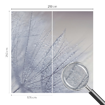 Självhäftande fototapet Daggig maskros