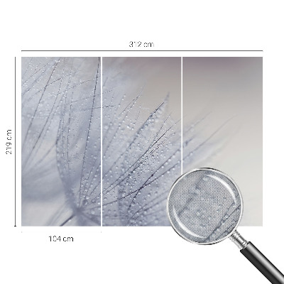 Självhäftande fototapet Daggig maskros