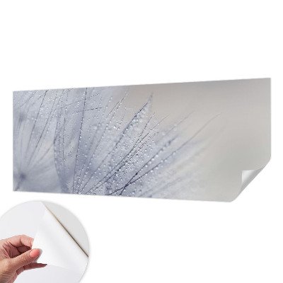 Självhäftande fototapet Daggig maskros