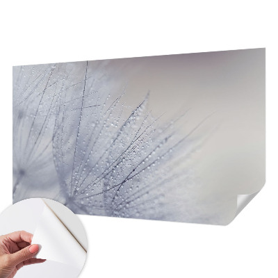 Självhäftande fototapet Daggig maskros