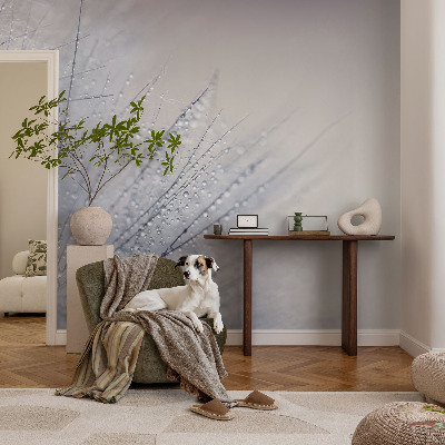 Självhäftande fototapet Daggig maskros