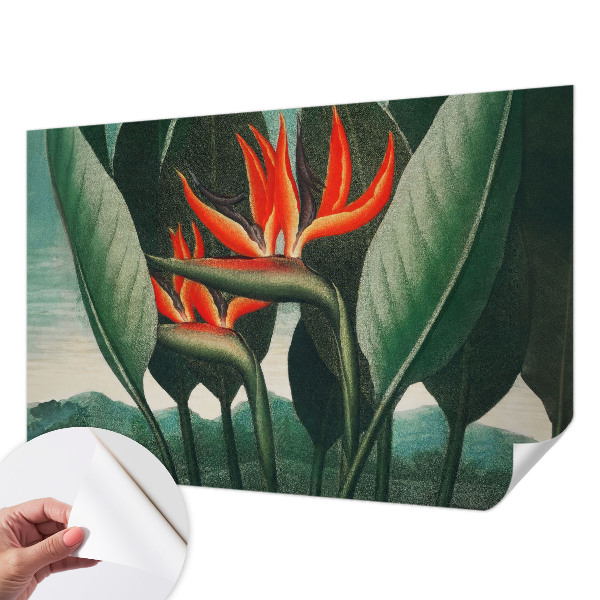 Peel and stick fototapet med motiv av exotiska blommor