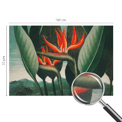 Peel and stick fototapet med motiv av exotiska blommor