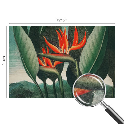 Peel and stick fototapet med motiv av exotiska blommor