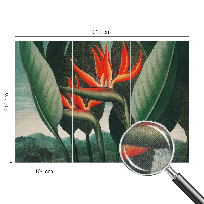Peel and stick fototapet med motiv av exotiska blommor
