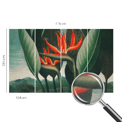 Peel and stick fototapet med motiv av exotiska blommor