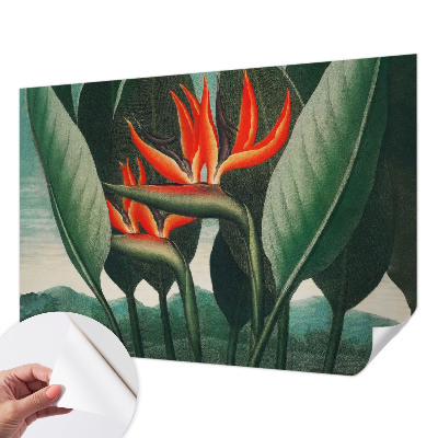 Peel and stick fototapet med motiv av exotiska blommor