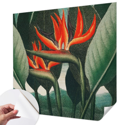 Peel and stick fototapet med motiv av exotiska blommor