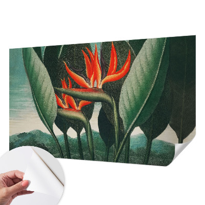 Peel and stick fototapet med motiv av exotiska blommor