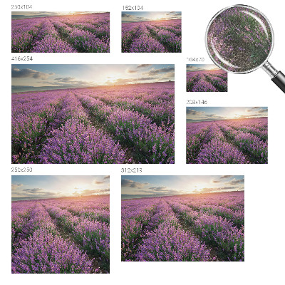 Peel and stick fototapet med motiv av lavendelfält