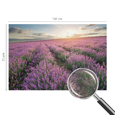 Peel and stick fototapet med motiv av lavendelfält