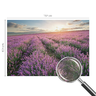 Peel and stick fototapet med motiv av lavendelfält