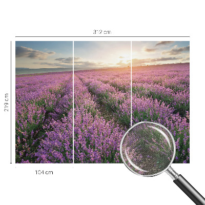 Peel and stick fototapet med motiv av lavendelfält