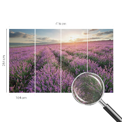 Peel and stick fototapet med motiv av lavendelfält
