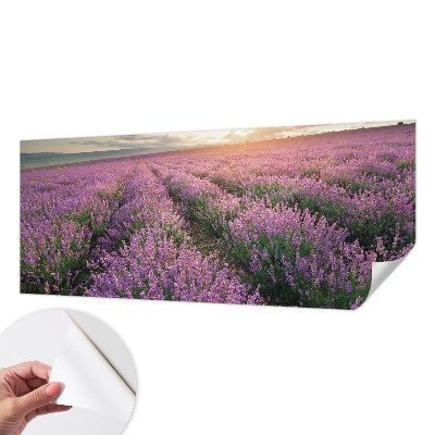 Peel and stick fototapet med motiv av lavendelfält