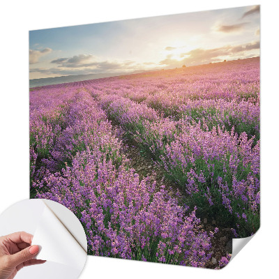 Peel and stick fototapet med motiv av lavendelfält