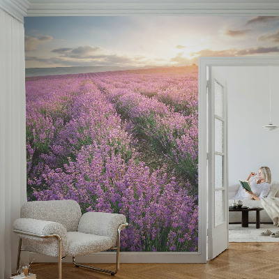 Peel and stick fototapet med motiv av lavendelfält