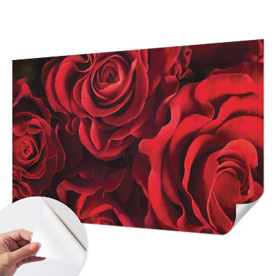 3D fototapet med motiv av röda rosor