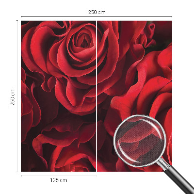 3D fototapet med motiv av röda rosor