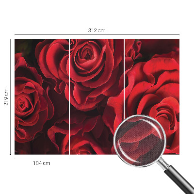 3D fototapet med motiv av röda rosor