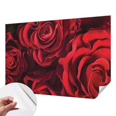 3D fototapet med motiv av röda rosor