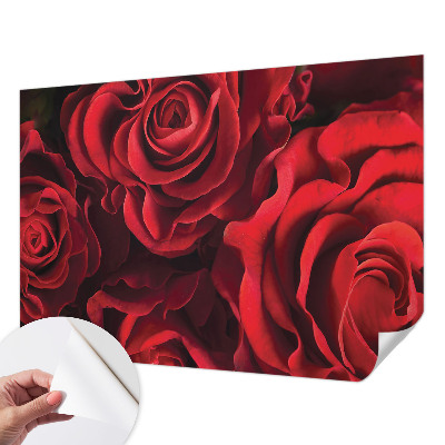 3D fototapet med motiv av röda rosor