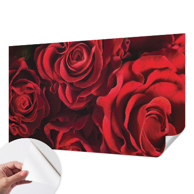 3D fototapet med motiv av röda rosor