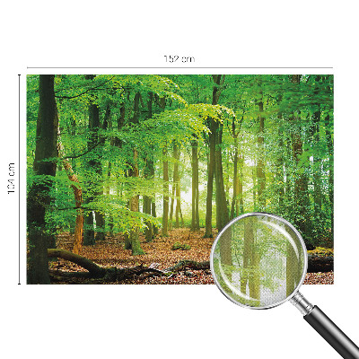 Fototapet barn Grön skog