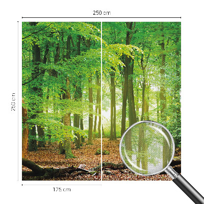 Fototapet barn Grön skog