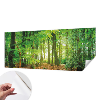 Fototapet barn Grön skog