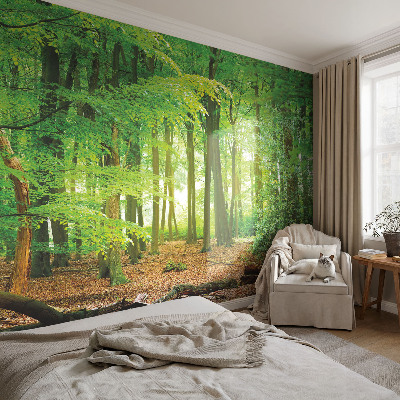 Fototapet barn Grön skog