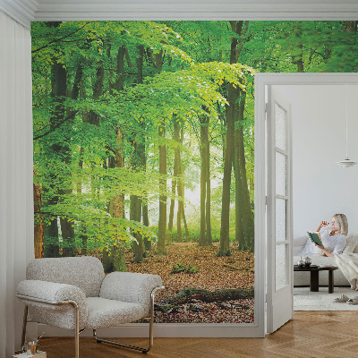 Fototapet barn med en grön skogsmotiv
