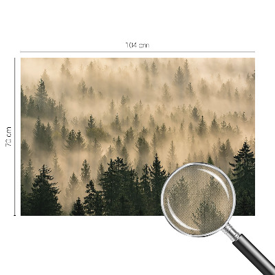 3D fototapet Skogsdimma