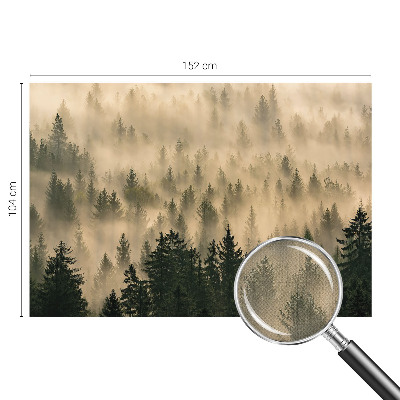 3D fototapet med motiv av skogsdimma