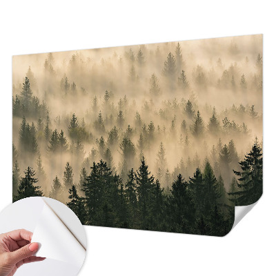 3D fototapet Skogsdimma