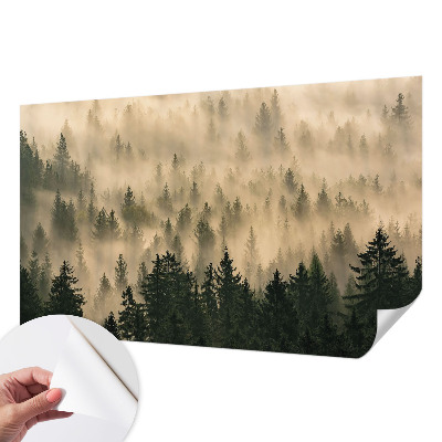 3D fototapet med motiv av skogsdimma