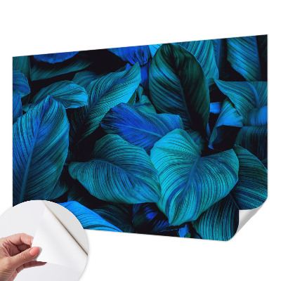 Självhäftande fototapet Blå blad