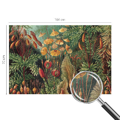 Fototapet för barn Exotisk trädgård