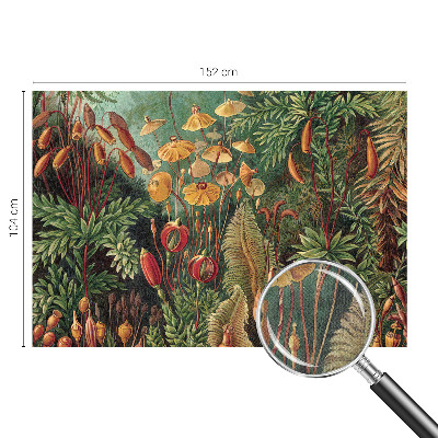 Fototapet för barn Exotisk trädgård