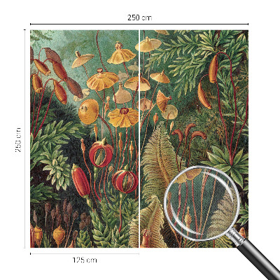 Fototapet för barn Exotisk trädgård