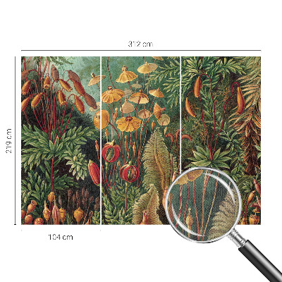 Fototapet för barn Exotisk trädgård